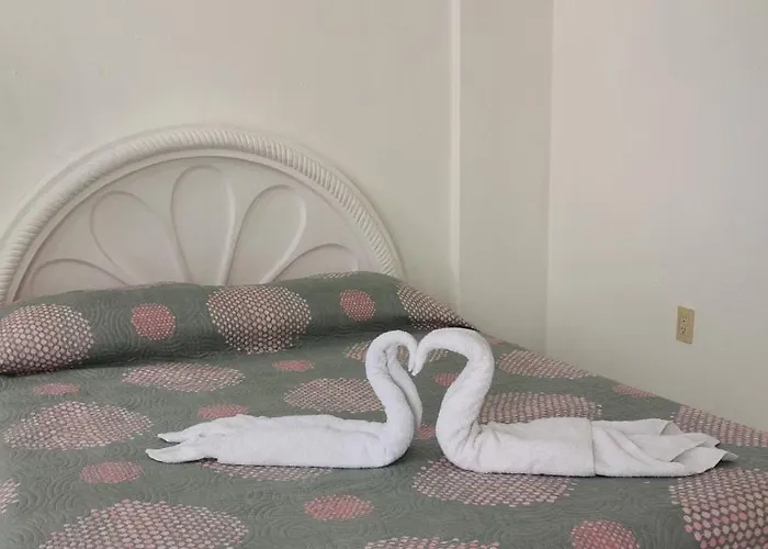 Large And Comfy Apartment, Near Dt And Principal Beach! *